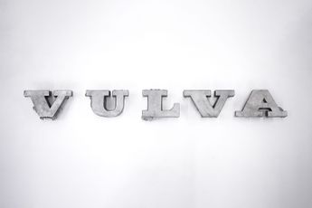 Fiona Banner Aka The Vanity Press contemporary artist