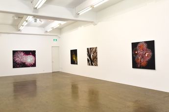 Contemporary art exhibition Reuben Paterson Black Matters II at Gow Langsford Gallery Auckland City New Zealand