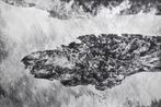 there IV by Julia Steiner contemporary artwork Works on Paper