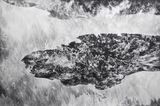 there IV by Julia Steiner contemporary artwork works on paper