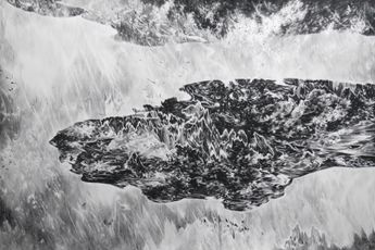 Julia Steiner contemporary artist