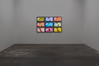 Contemporary art exhibition Steve Carr mystical realism modest gestures at Lett Thomas Auckland New Zealand
