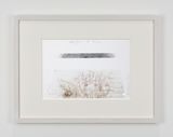 Avvolgere la terra by Giuseppe Penone contemporary artwork works on paper