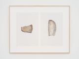 Muscle Memory Partial by Nina Canell contemporary artwork print