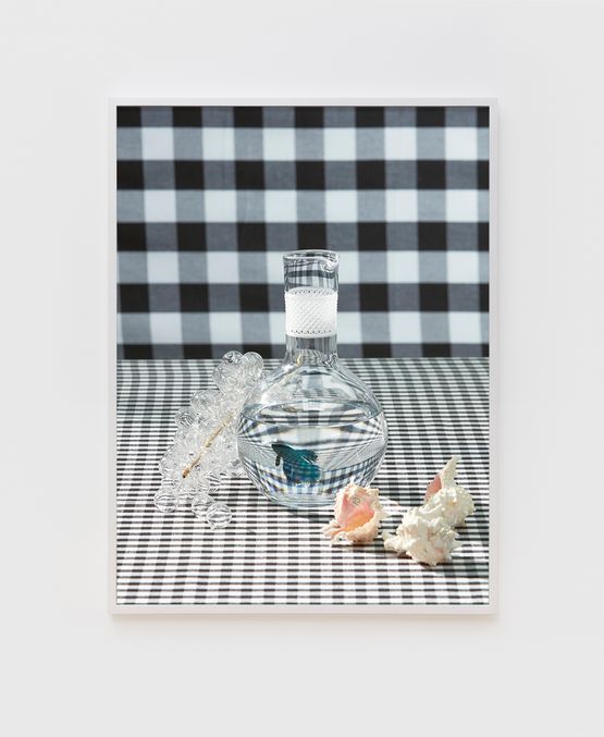 Decanter with Fish by Roe Ethridge contemporary artwork Photography
