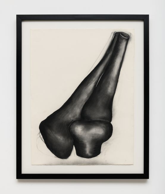 Joint III by Mary Ann Unger contemporary artwork Works on Paper