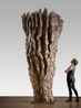 Z BOKU by Ursula Von Rydingsvard contemporary artwork Sculpture