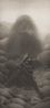Old Ape in the Ravine by Shao Fan contemporary artwork Works on Paper