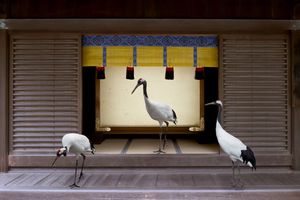 Karen Knorr