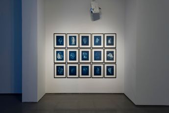 Itamar Gov contemporary artist