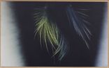 T1966-H32 by Hans Hartung contemporary artwork Painting