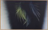 T1966-H32 by Hans Hartung contemporary artwork painting