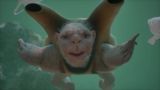 Reflections on Ghost Food by Patricia Piccinini contemporary artwork moving image