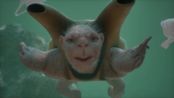 Reflections on Ghost Food by Patricia Piccinini contemporary artwork Moving Image
