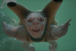Patricia Piccinini