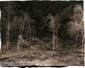 Manifest II by Tenzing Dakpa contemporary artwork Photography