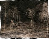 Manifest II by Tenzing Dakpa contemporary artwork photography