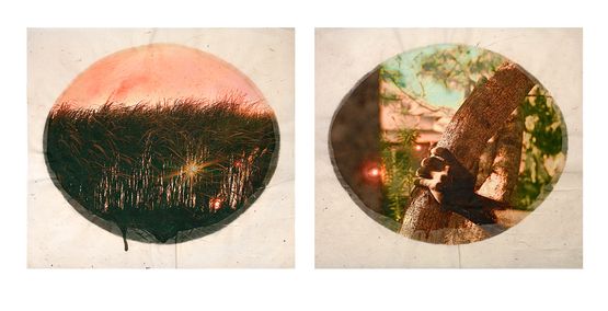 Plantation Diptych No. 4 by Tracey Moffatt contemporary artwork Works on Paper