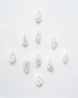 Corollas by Claudia Casarino contemporary artwork Sculpture