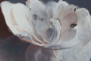 Xie Qi
