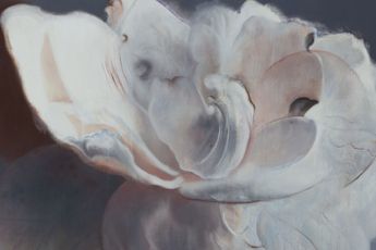 Contemporary art exhibition Xie Qi Tugging at Perrotin Shanghai China