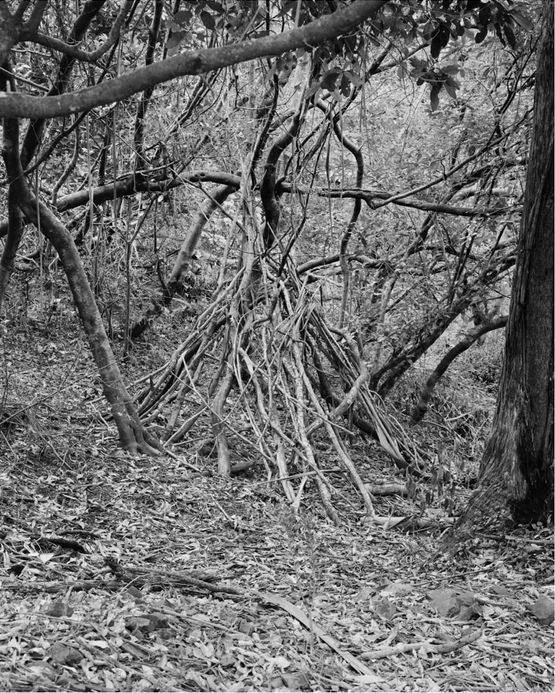Untitled Shelter Wellington by Harry Culy contemporary artwork Photography