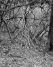 Untitled Shelter Wellington by Harry Culy contemporary artwork Photography