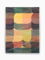 Blanket Veiled III by David Murphy contemporary artwork painting