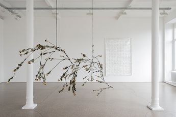 Contemporary art exhibition Edith Dekyndt Strange Fruits at Galerie Greta Meert Brussels Belgium