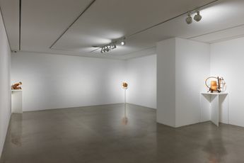 Contemporary art exhibition Tai-Jung Um A Stranger Holding Two Wings at Arario Gallery Cheonan South Korea