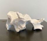 Echoes from Billions Gone Cells by Aljoscha contemporary artwork sculpture