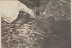 Kwong San Tang contemporary artist
