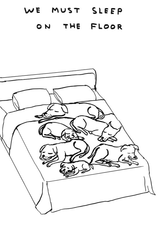 Untitled We Must Sleep on the Floor by David Shrigley contemporary artwork Works on Paper