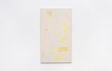 Rivulet by Cathy Wilkes contemporary artwork mixed media