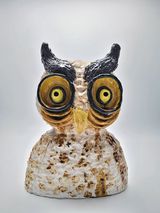 Last night was a hoot by Charlotte Le Brocque contemporary artwork