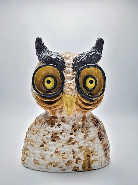 Last night was a hoot by Charlotte Le Brocque contemporary artwork