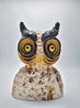 Last night was a hoot by Charlotte Le Brocque contemporary artwork