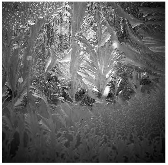 Crystals Siberia II by Tomoko Yoneda contemporary artwork Photography