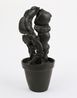 Plant by Peter Fischli  David Weiss contemporary artwork Sculpture