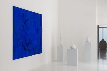 Contemporary art exhibition Pia Ortuno Down To The Roots at Cadogan Gallery Milan Italy