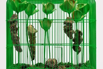 Contemporary art exhibition Tetsumi Kudo Microcosms at Hauser  Wirth London United Kingdom