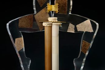 Anthea Hamilton contemporary artist