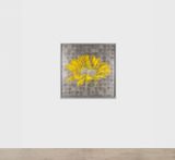 Future Herbarium by Laurent Grasso contemporary artwork painting