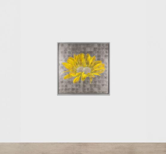 Future Herbarium by Laurent Grasso contemporary artwork Painting