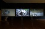 Path. 14 The River Flows Two Ways by Boedi Widjaja contemporary artwork Moving Image