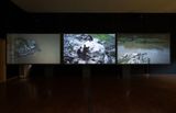 Path. 14 The River Flows Two Ways by Boedi Widjaja contemporary artwork moving image