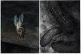 100 Questions 50 Lies A Recital of True Events by Philippe Parreno contemporary artwork drawing painting works on paper