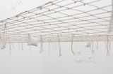 Sem titulo da serie America do Sal Untitled from the Salt America series by Carolina Cordeiro contemporary artwork sculpture