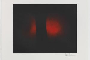 Anish Kapoor