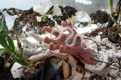 Art Takes Over Singapore Art Weeks 10th Edition